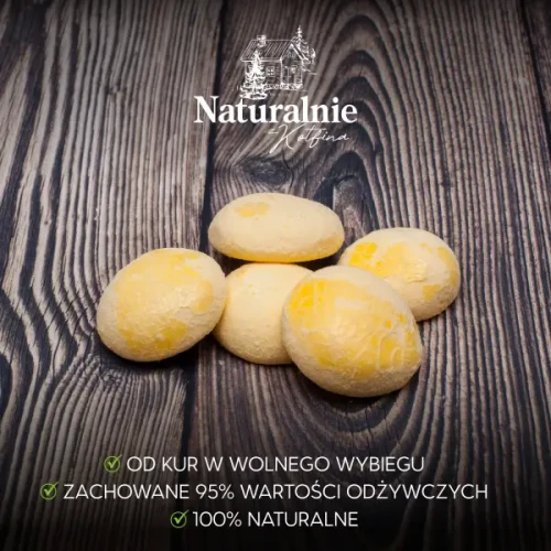 600px_zigger_2_3.webp