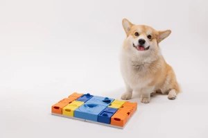 Modułowa Zabawka Edukacyjna dla Psa Pawzler Rainbow Mix
