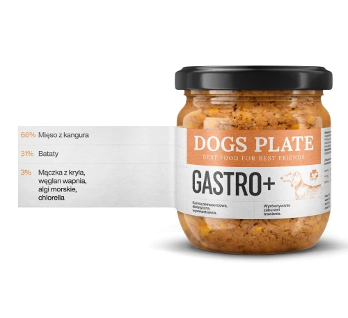 DP_360g_web_GASTRO+_R.webp