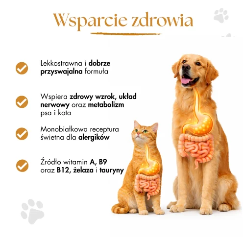 307.webp
