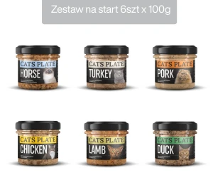 Zestaw 6 słoików na start  - Cats Plate 100g