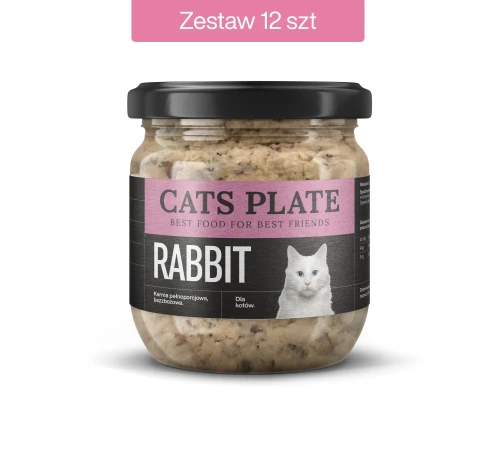 Rabbit 360_12.webp