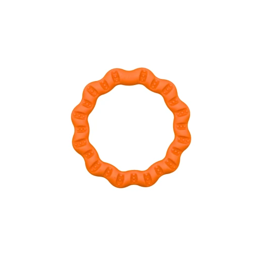 pol_pl_Ring-do-przeciagania-dla-psa-FRINGOO-MINI-897_1.webp