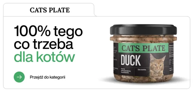 100% tego co trzeba dla kotów — przejdź do kategorii