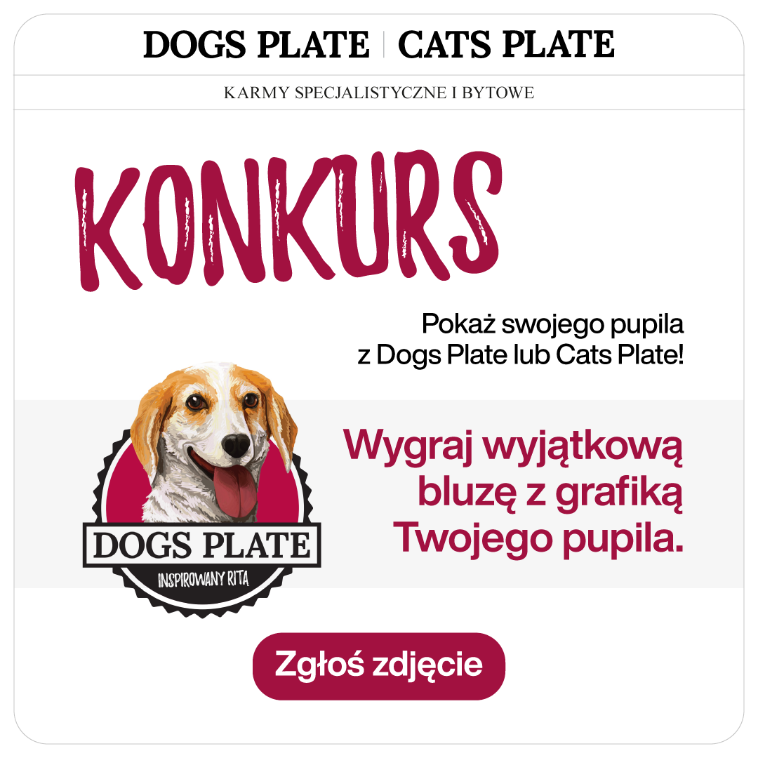 Konkurs nowy