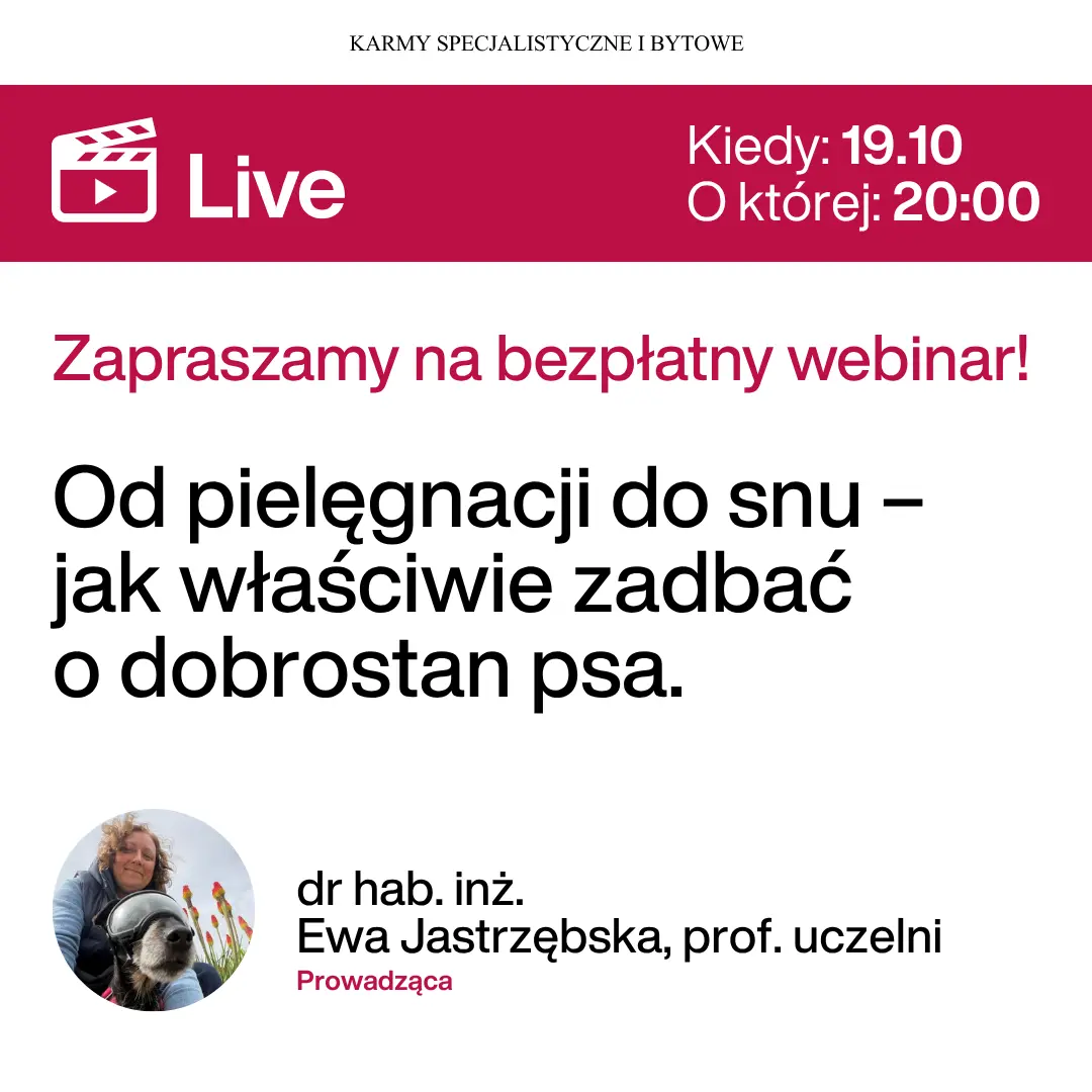 Webinar Pielęgnacja snu