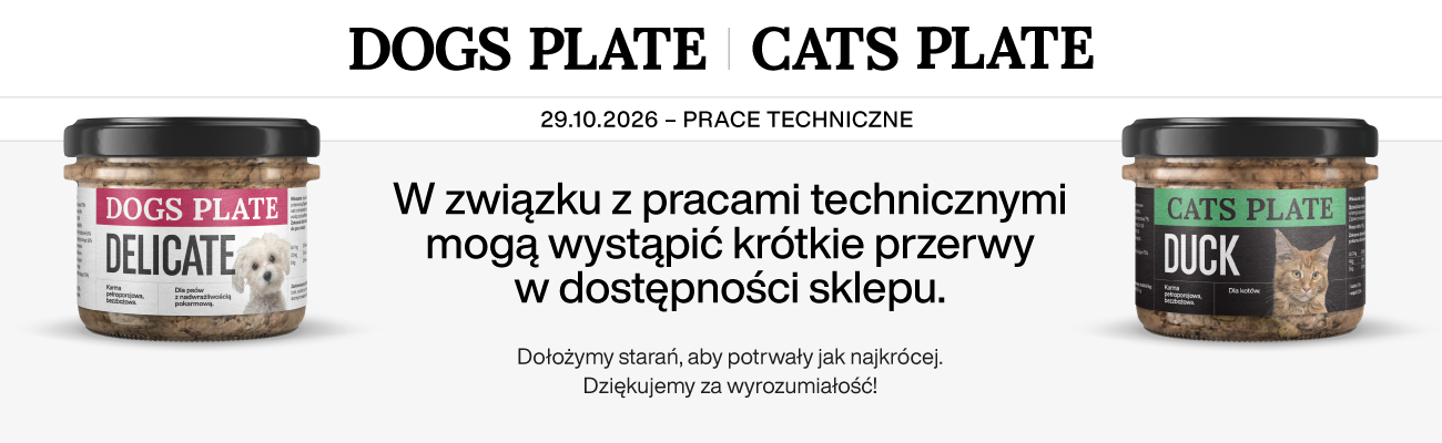 Przerwa techniczna