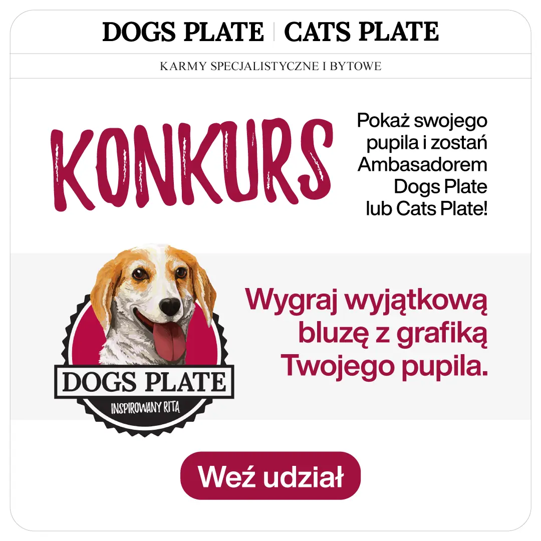 Konkurs ambasador marki