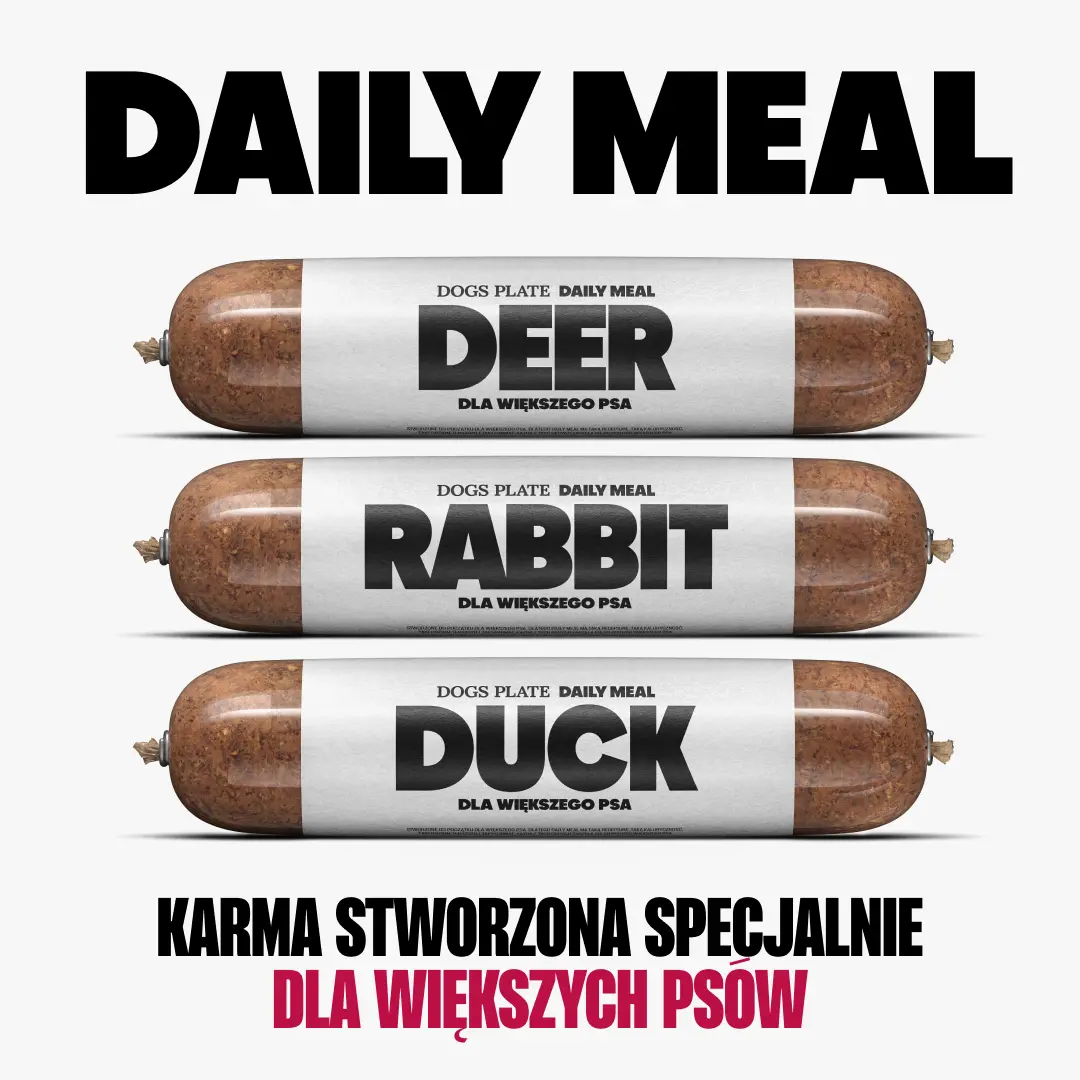 Daily Meal