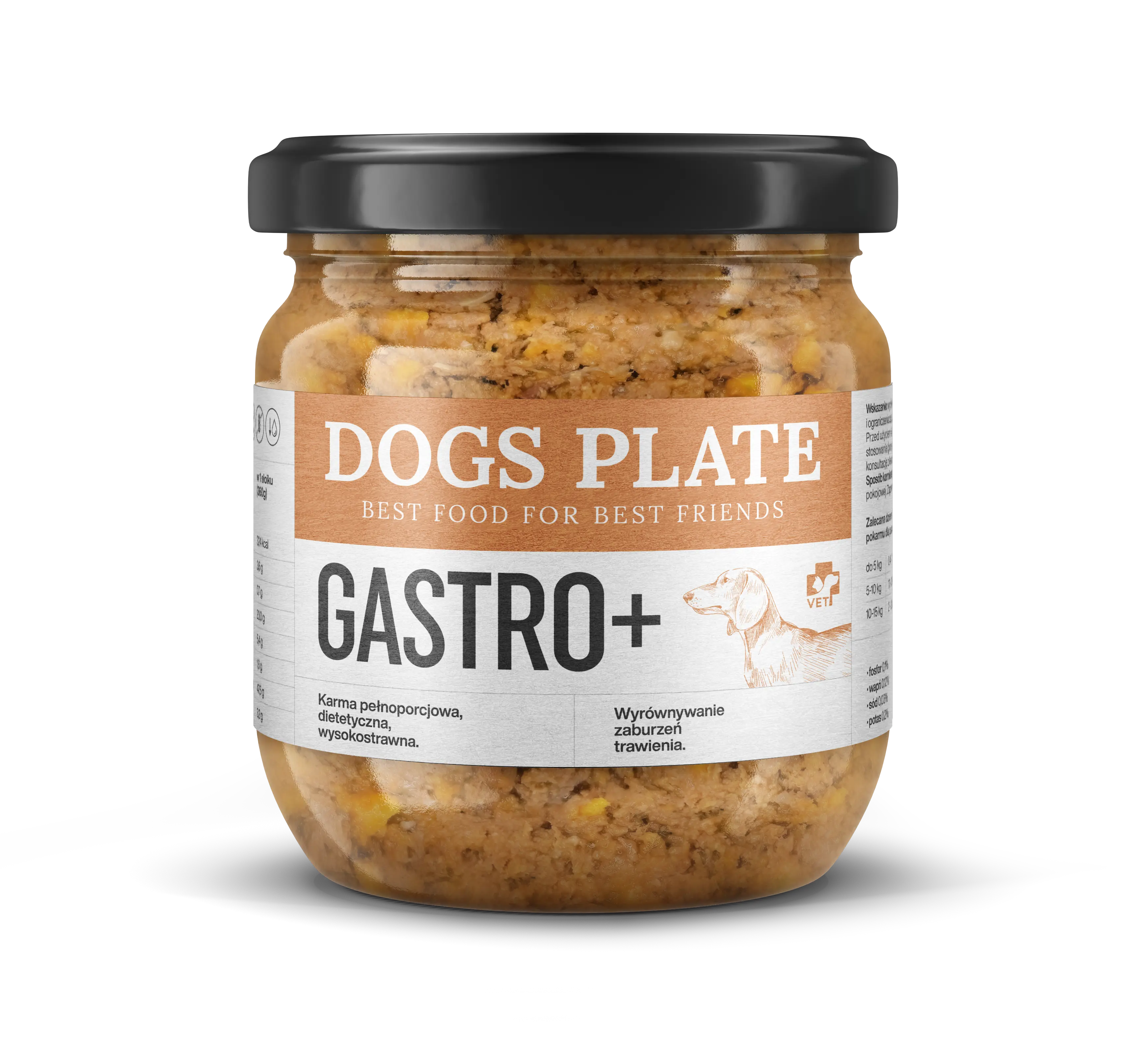 Dogs Plate Vet Gastro 360g