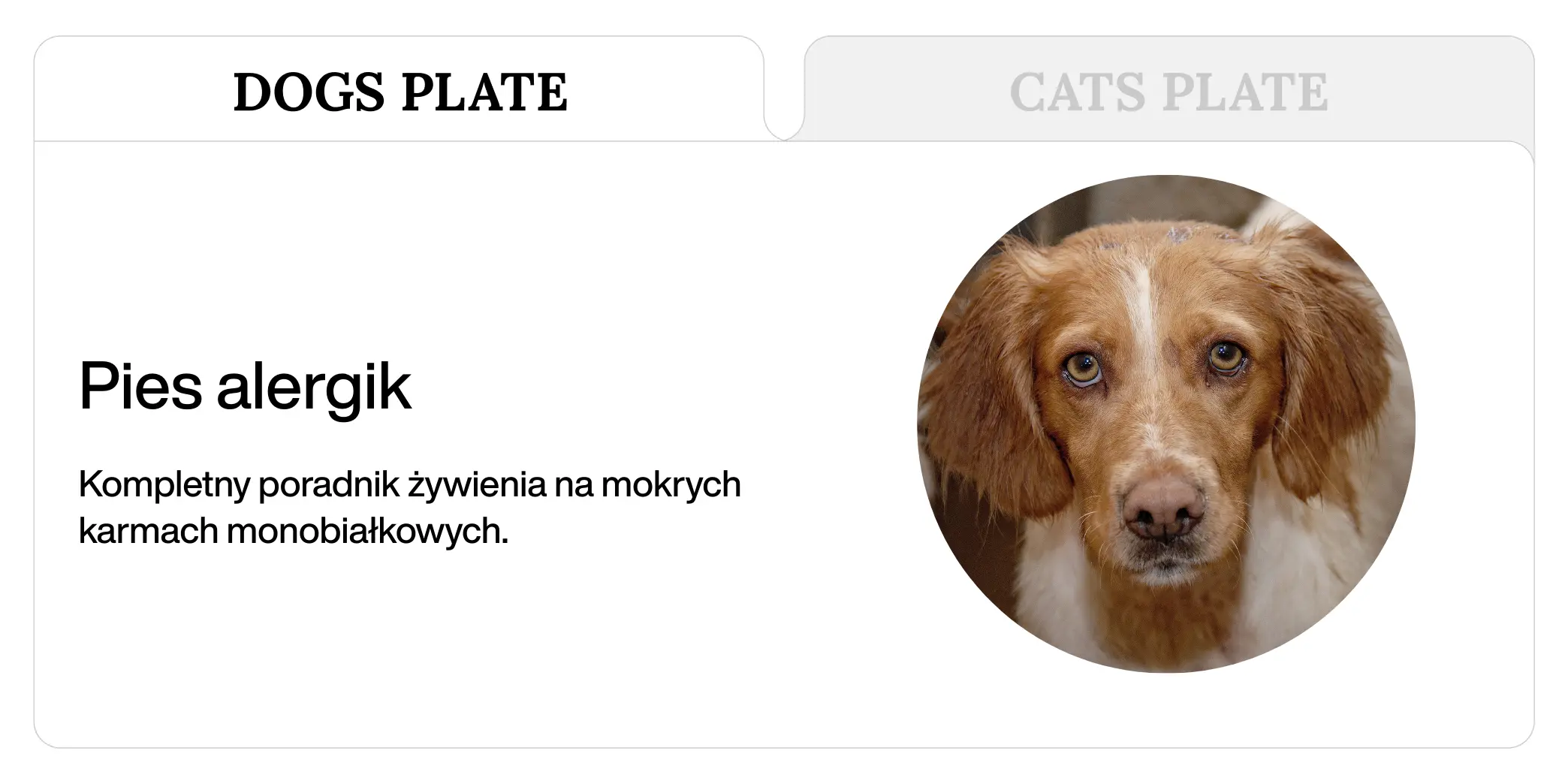 Pies alergik: kompletny poradnik żywienia na mokrych karmach monobiałkowych (krok po kroku)