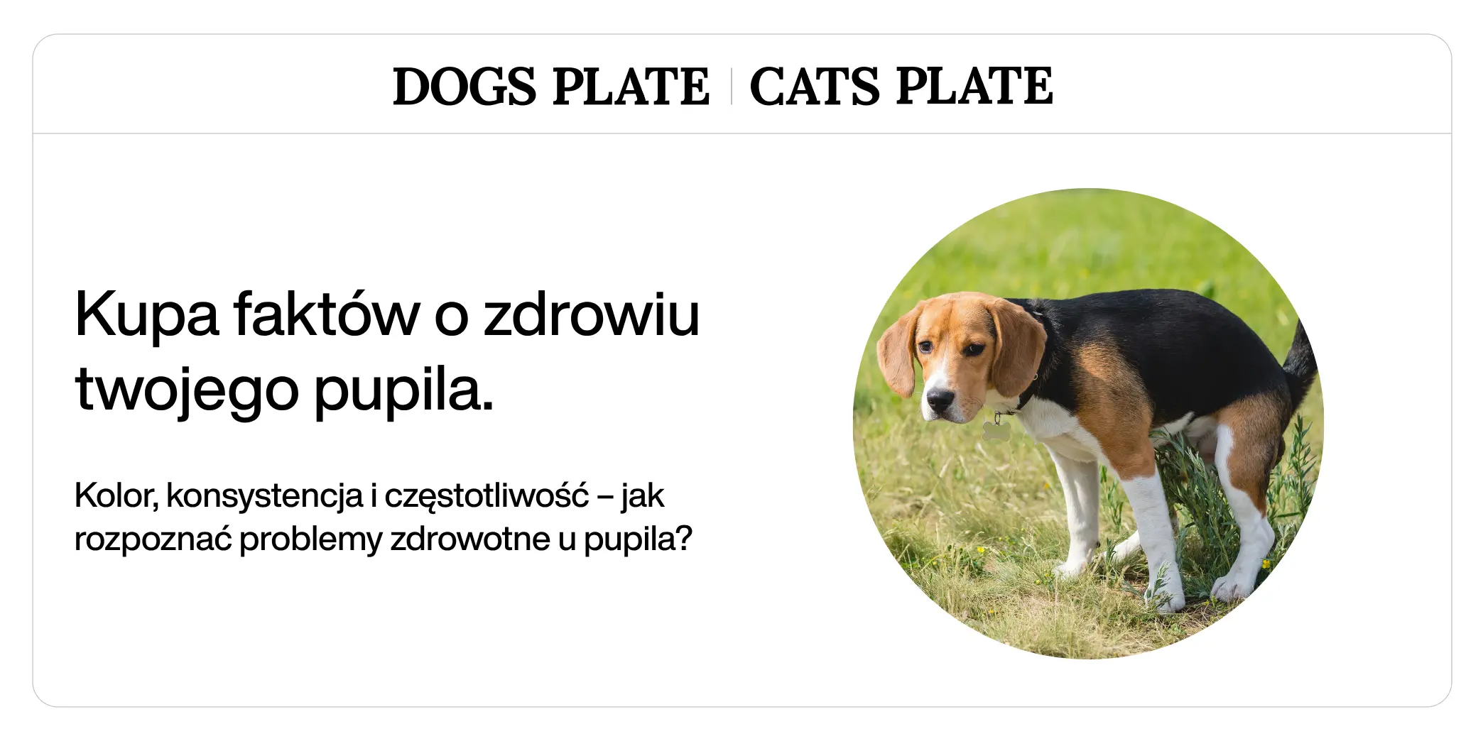 Kupa faktów o zdrowiu twojego pupila.