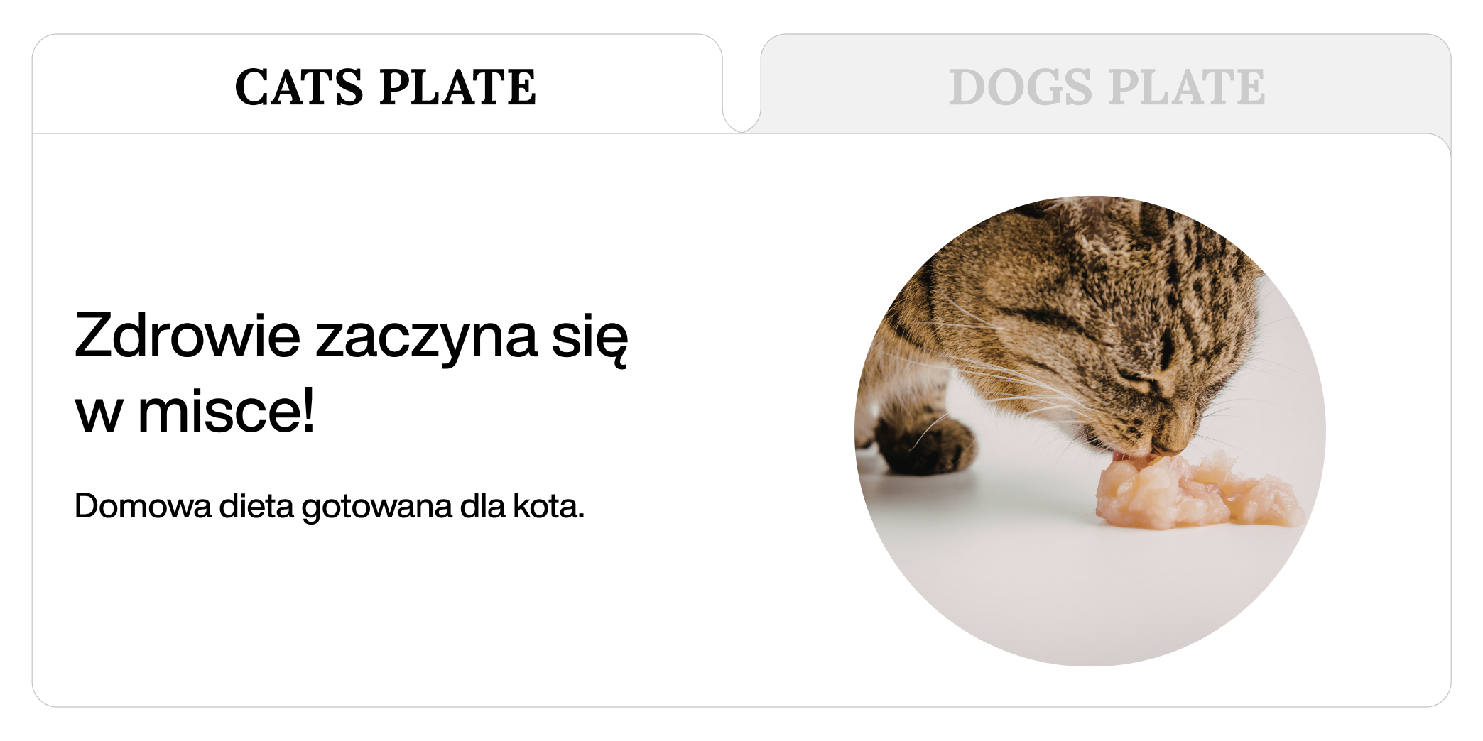 Jak gotować zdrowo dla kota?
