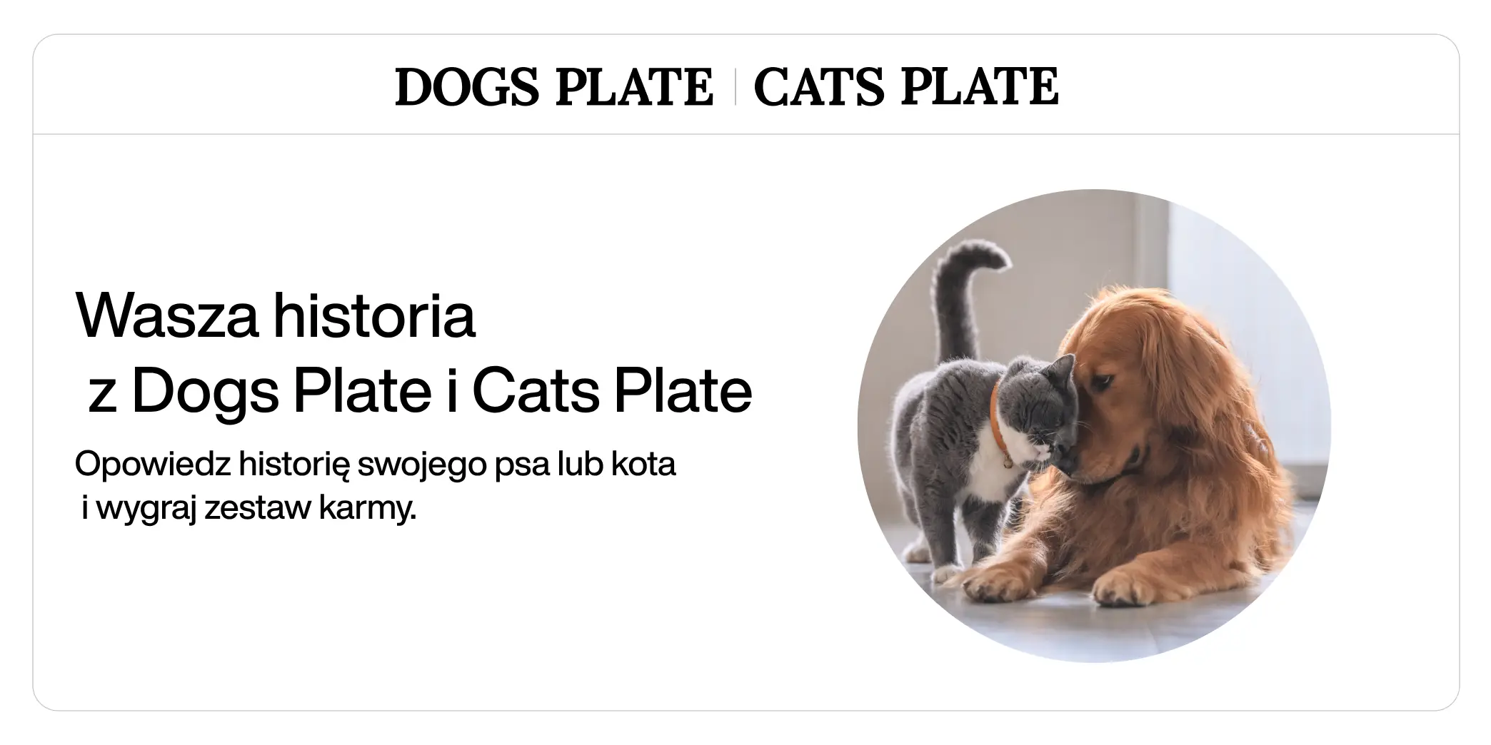 Weź udział w konkursie " Wasza historia z Dogs Plate i Cats Plate"