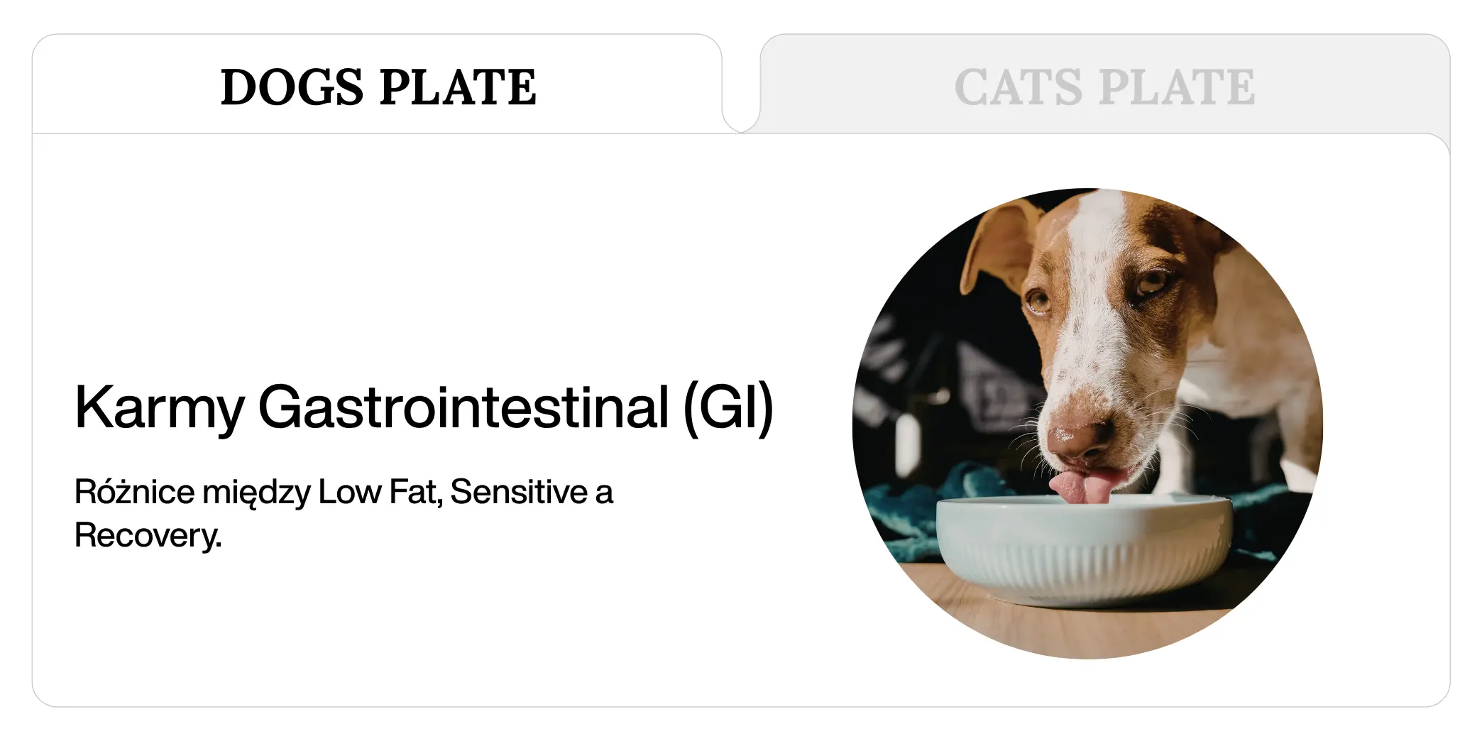 Karmy Gastrointestinal (GI) – różnice między Low Fat, Sensitive a Recovery.