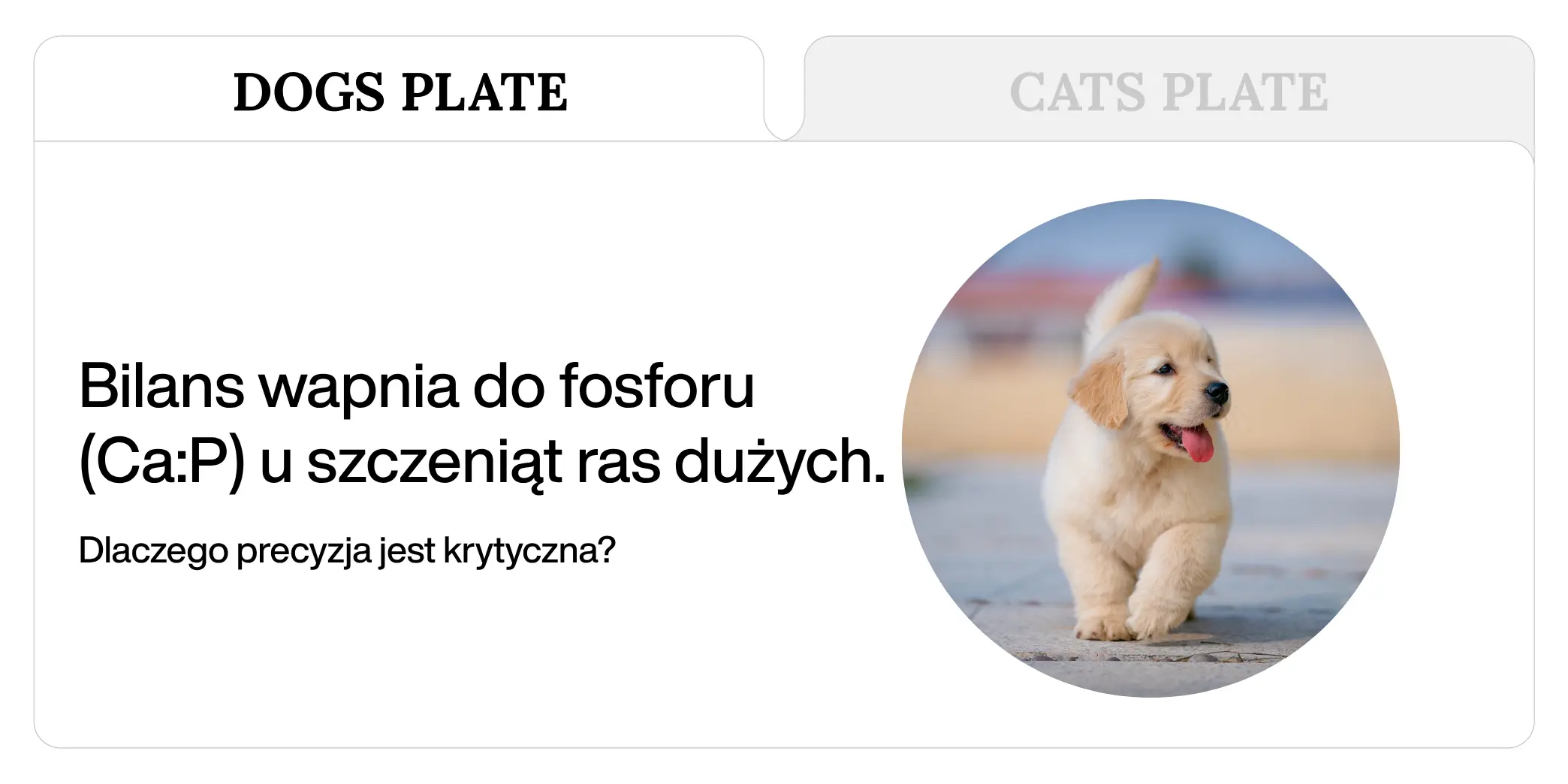 Bilans wapnia do fosforu (Ca:P) u szczeniąt ras dużych – dlaczego precyzja jest krytyczna?