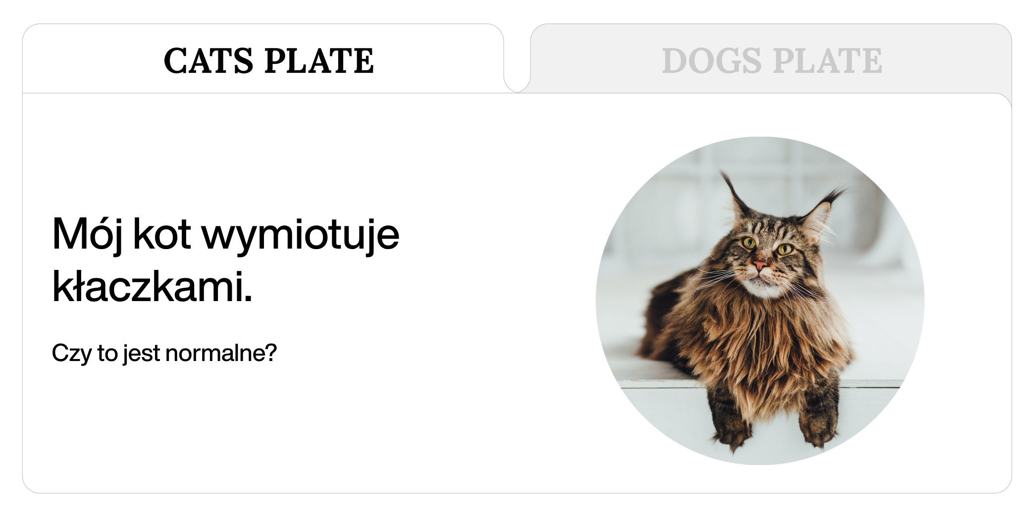 Mój kot wymiotuje kłaczkami, czy to jest normalne?