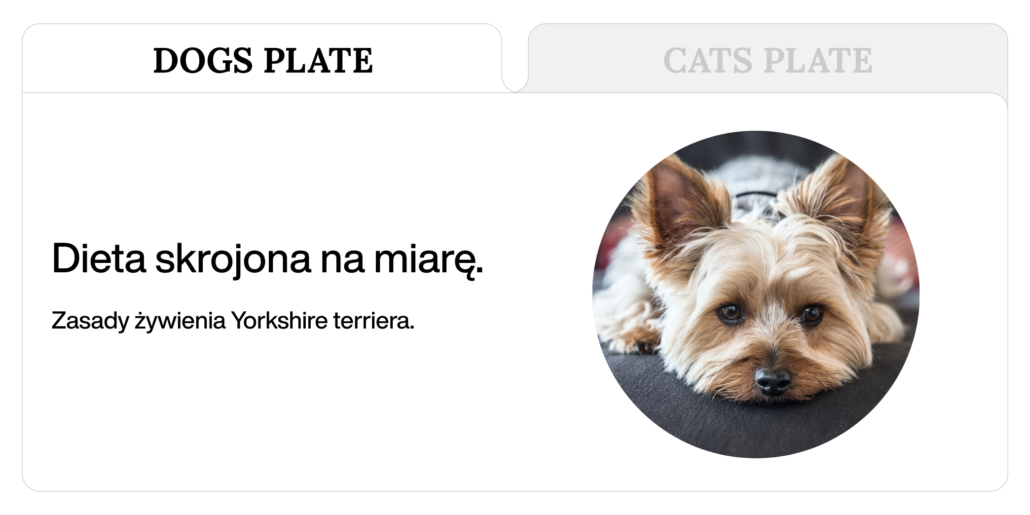 Dieta Yorkshire terrirra