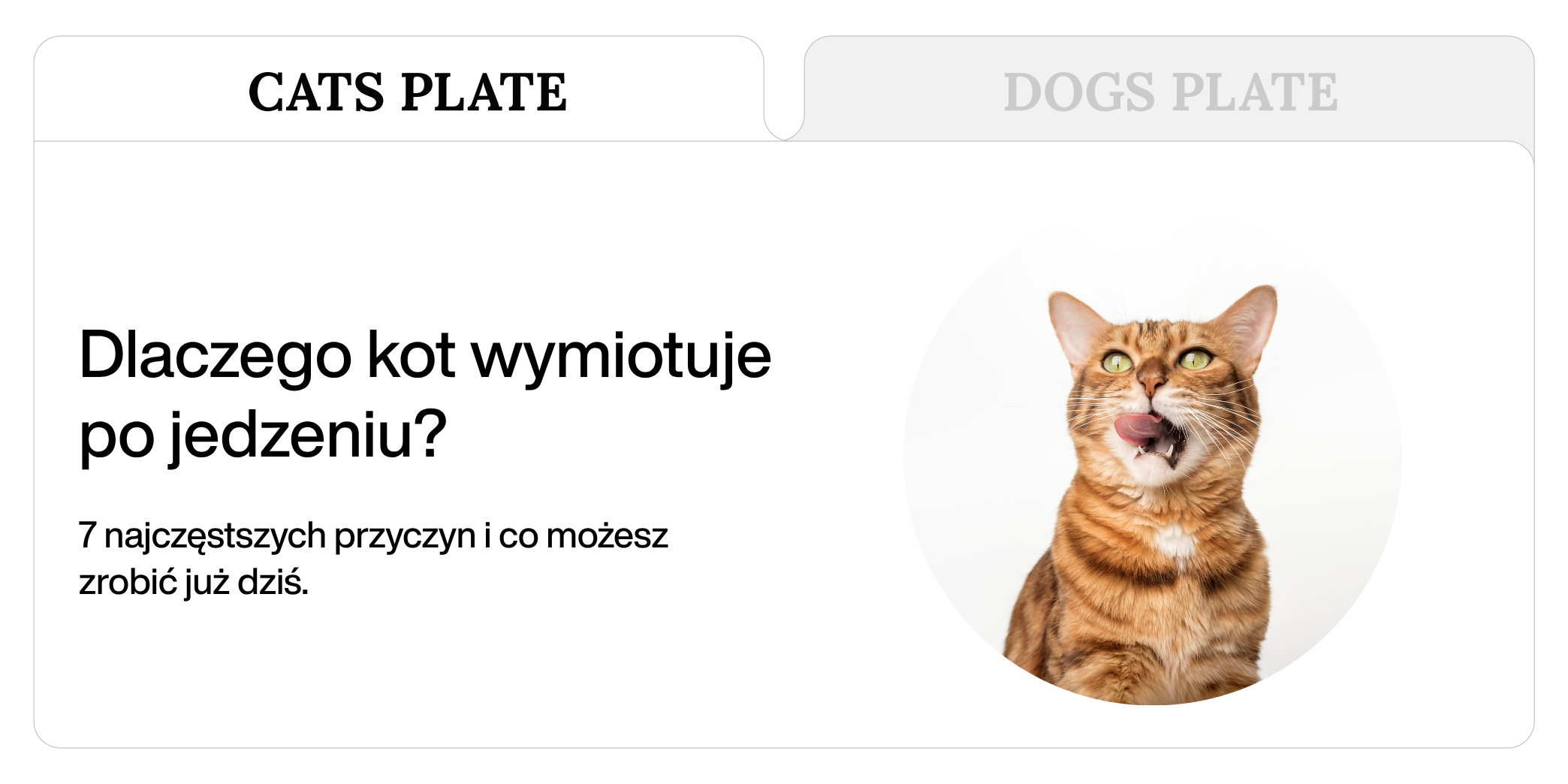 Dlaczego kot wymiotuje po jedzeniu? 7 najczęstszych przyczyn i co możesz zrobić już dziś