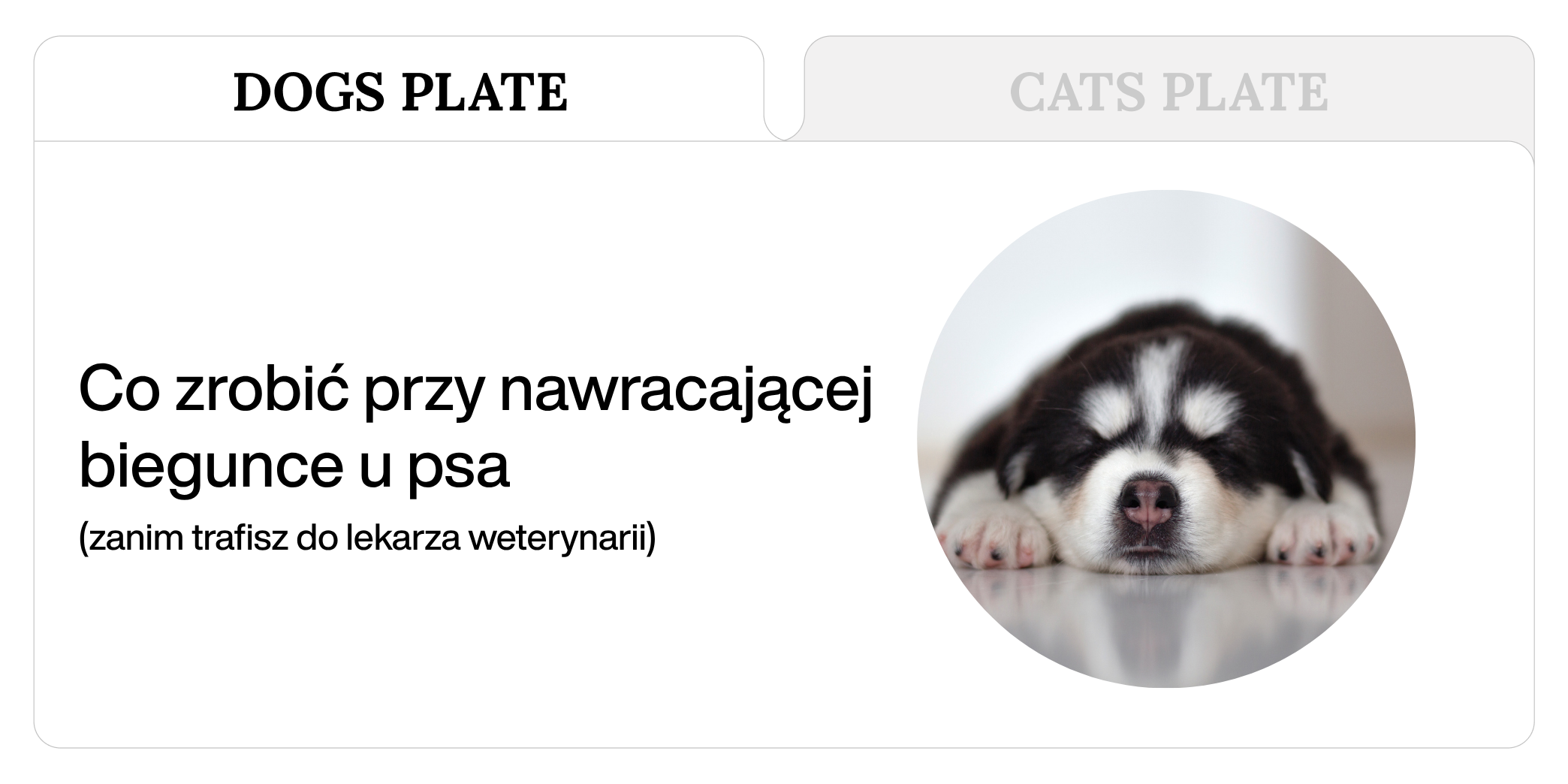 Co zrobić przy nawracającej biegunce u psa (zanim trafisz do lekarza weterynarii)