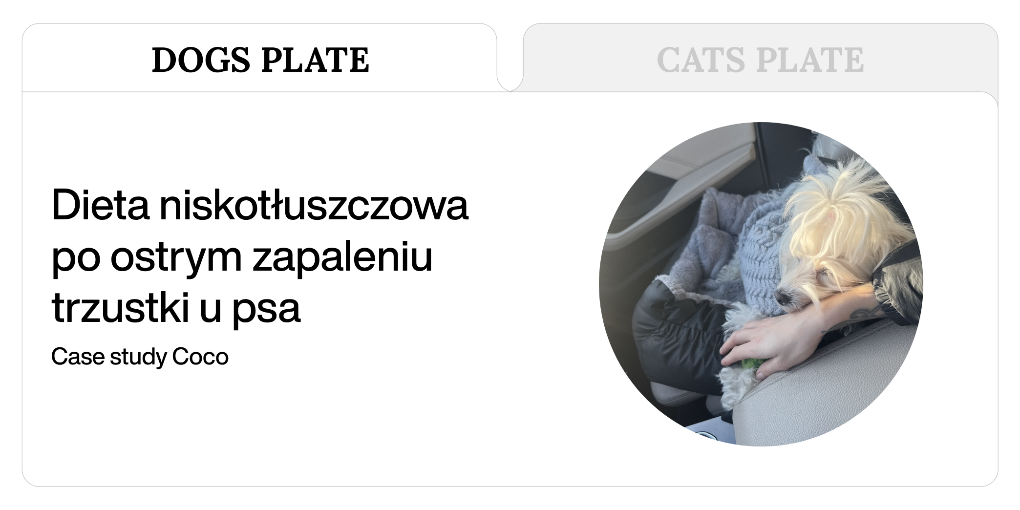 Dieta niskotłuszczowa jako element poprawy jakości życia psa po ostrym zapaleniu trzustki – case study Coco