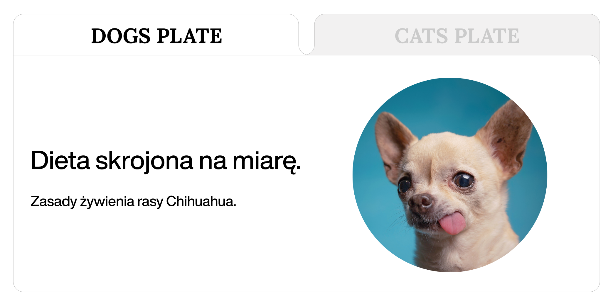 Dieta rasy Chihuahua