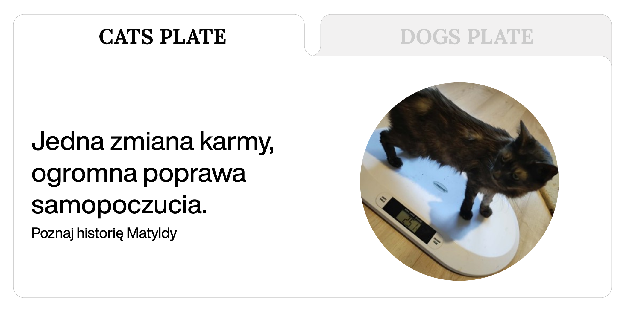 Jedna zmiana karmy, ogromna poprawa samopoczucia – poznaj historię Matyldy