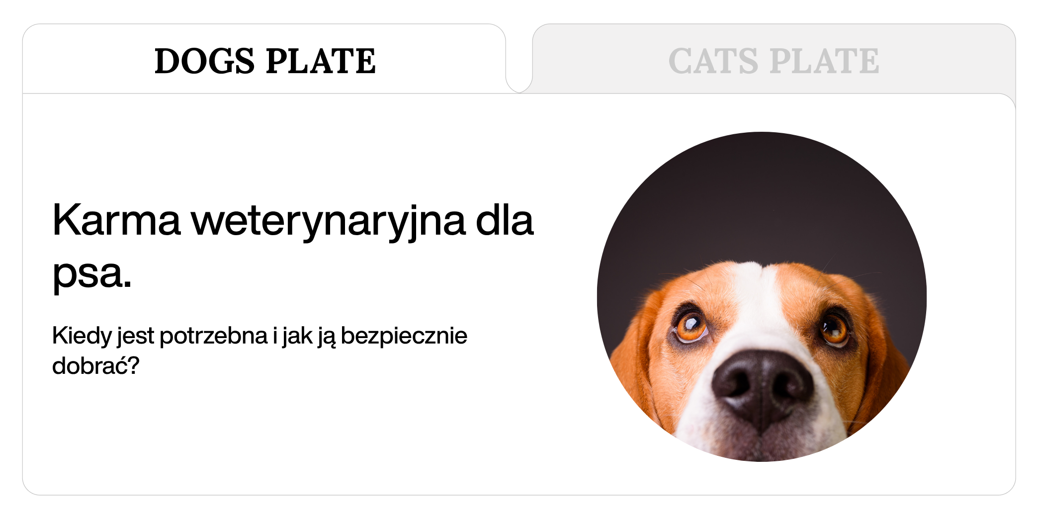 Karma weterynaryjna dla psa - kiedy jest potrzebna i jak ją bezpiecznie dobrać.