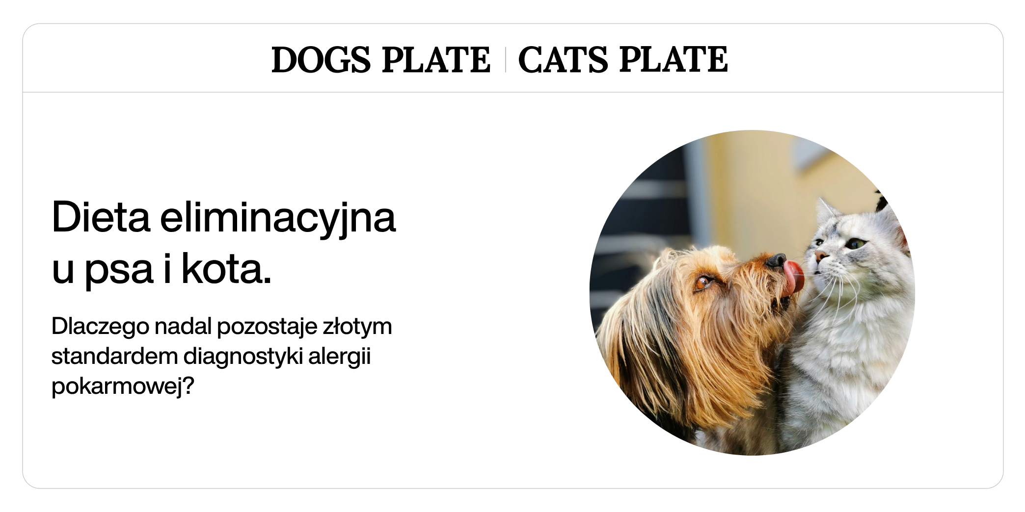 Dieta eliminacyjna u psa i kota - dlaczego nadal pozostaje złotym standardem diagnostyki alergii pokarmowej?