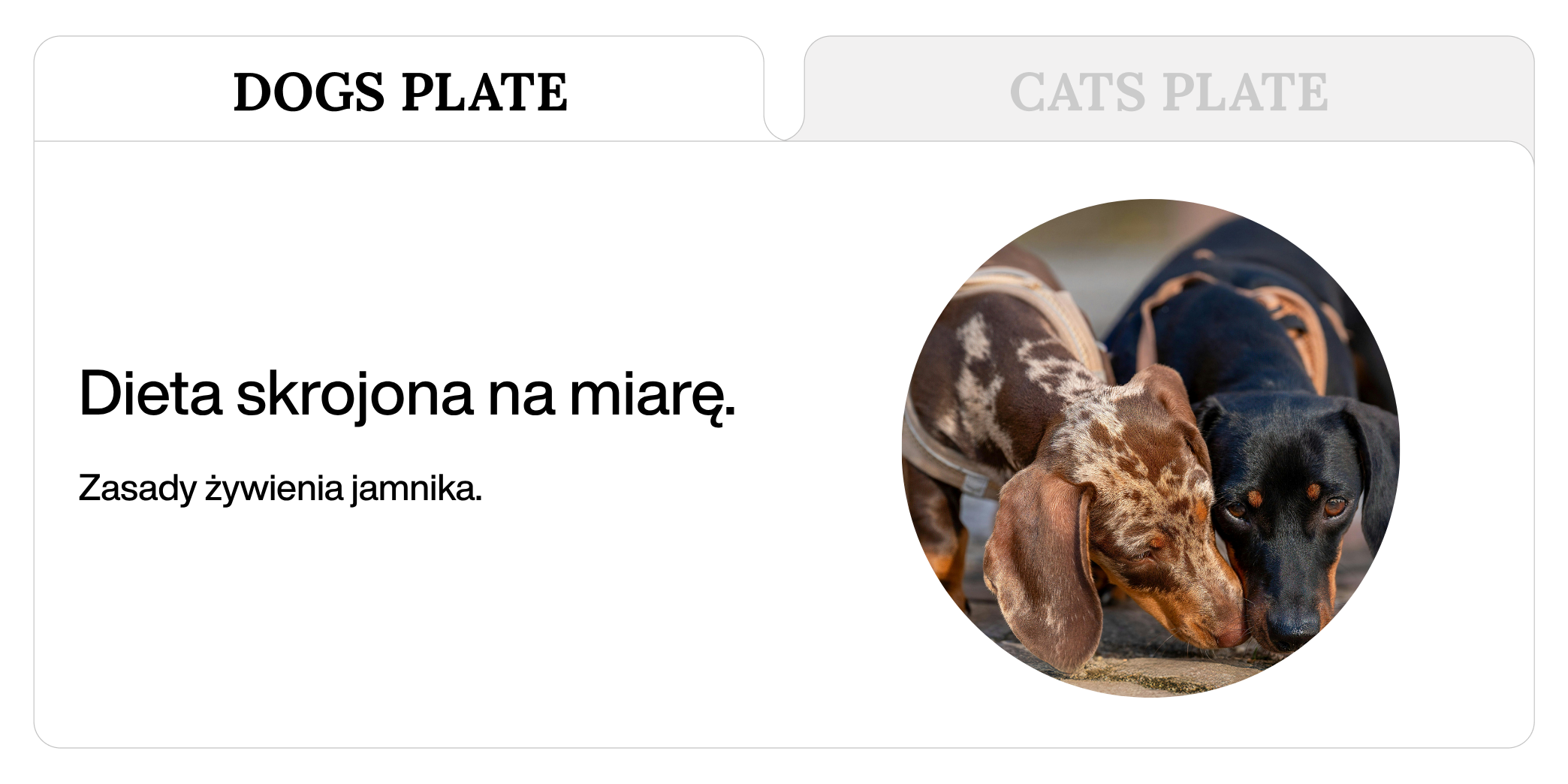 Dieta jamnika