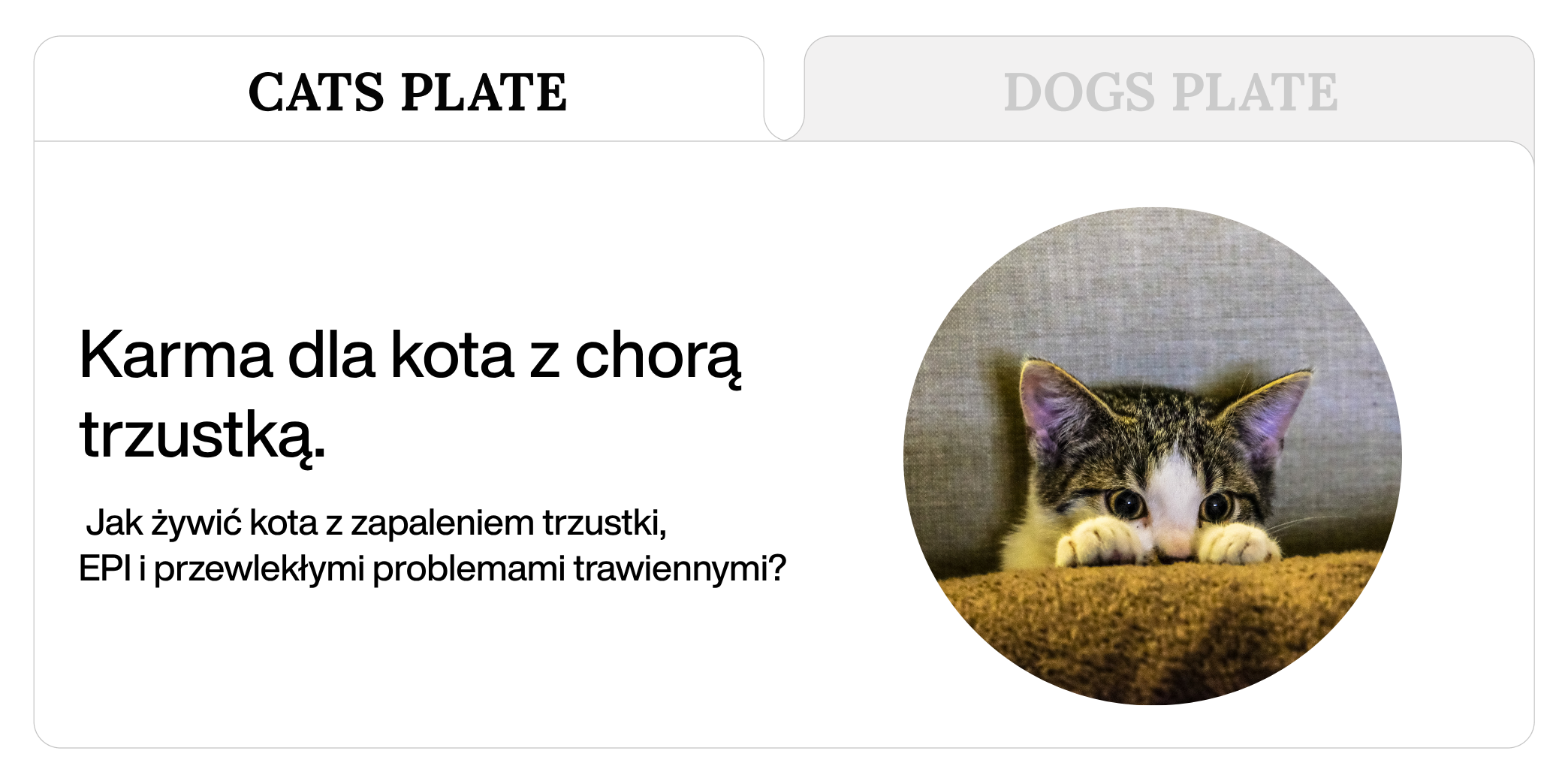 Karma dla kota z chorą trzustką - jak żywić kota z zapaleniem trzustki, EPI i przewlekłymi problemami trawiennymi?