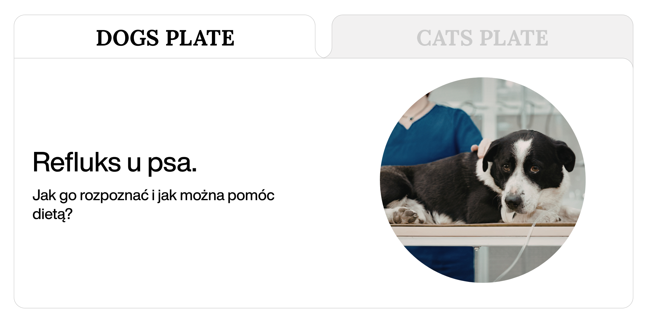Refluks u psa. Jak go rozpoznać i jak można pomóc dietą?