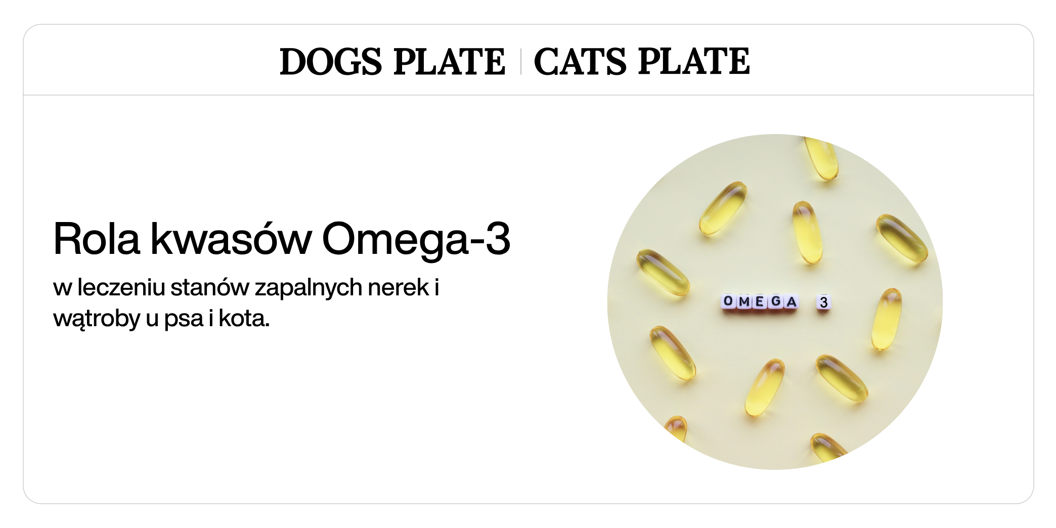 Rola kwasów Omega-3 w leczeniu stanów zapalnych nerek i wątroby u psa i kota.