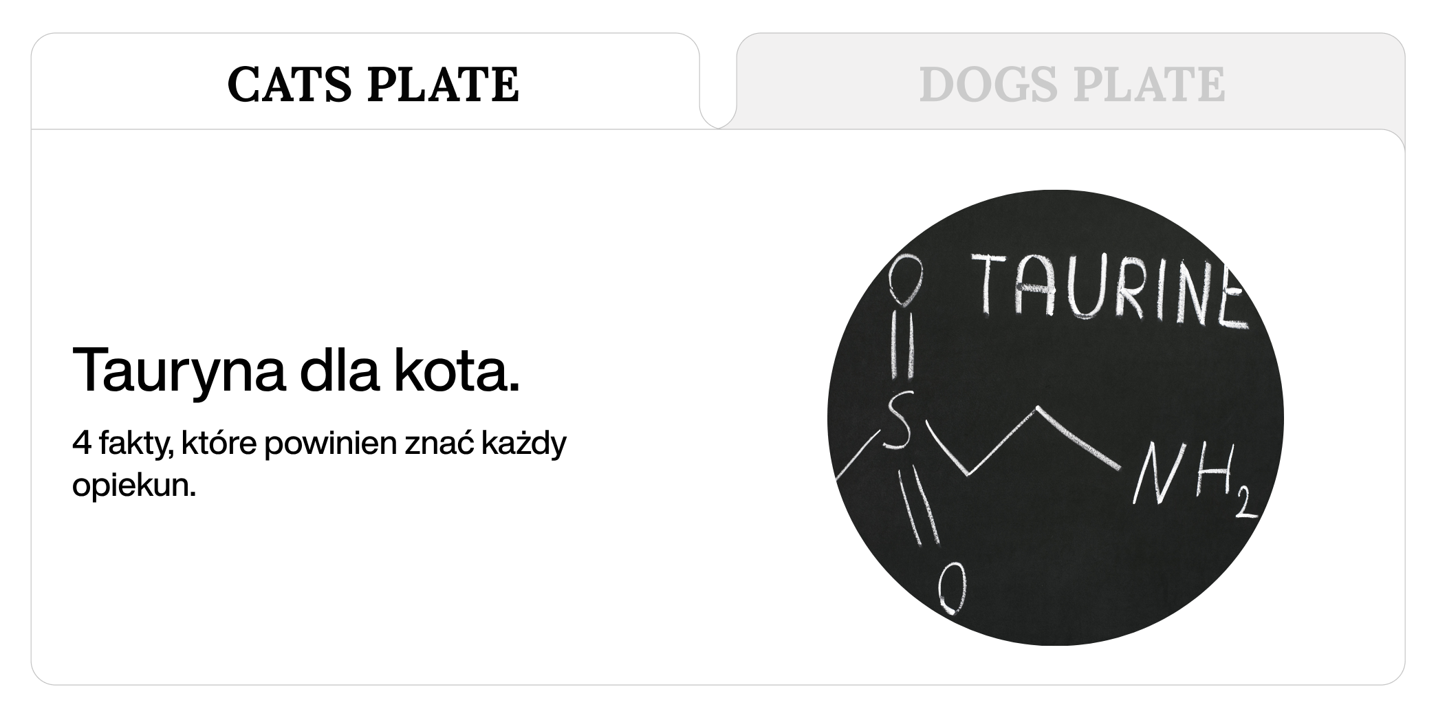 Tauryna dla kota - 4 fakty, które powinien znać każdy opiekun.