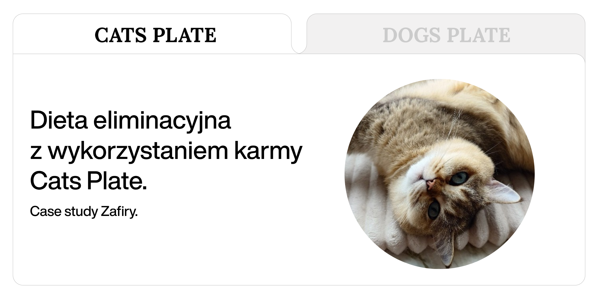 Dieta eliminacyjna z wykorzystaniem karmy Cats Plate. Case study Zafiry.