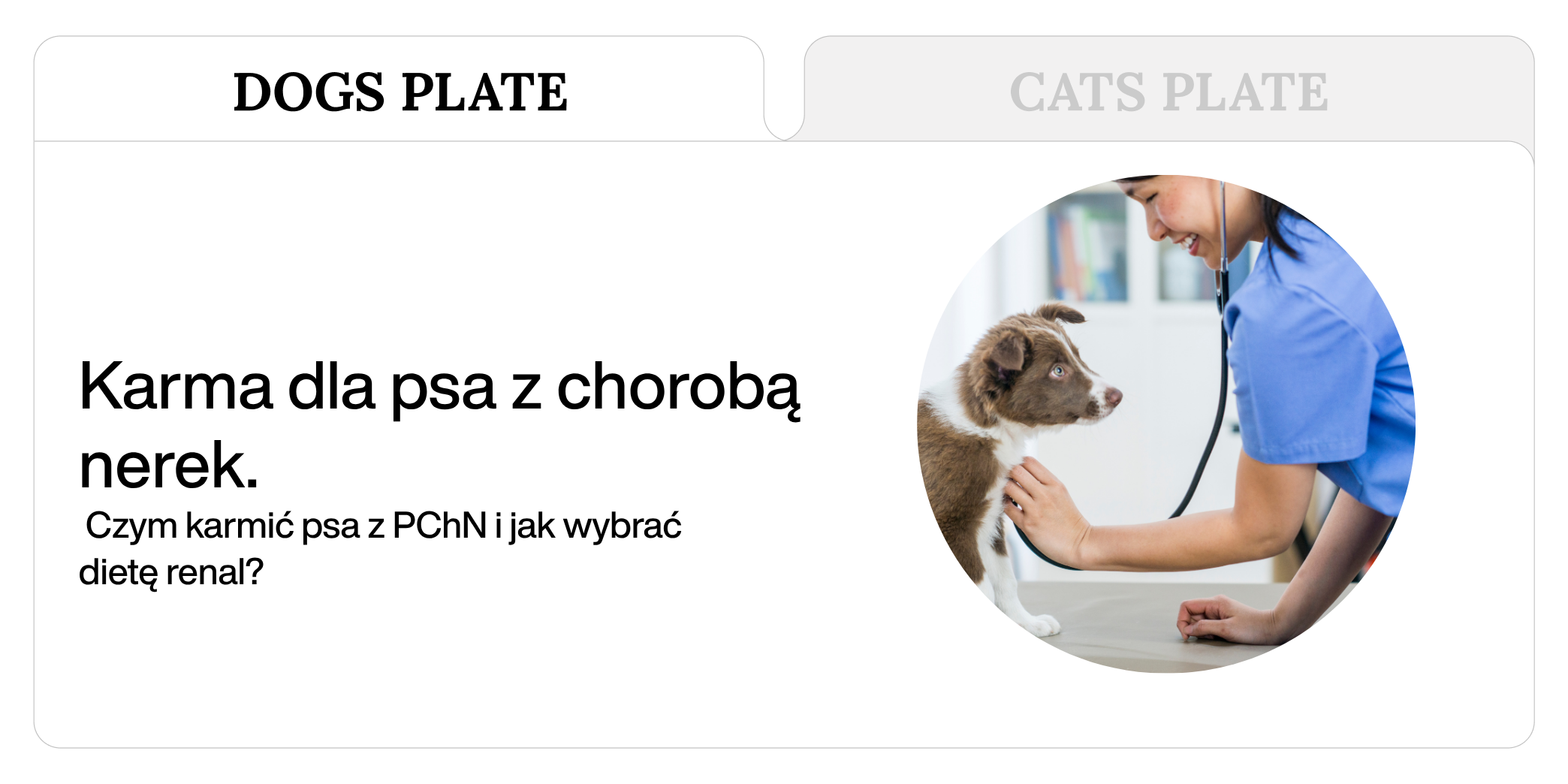 Karma dla psa z chorobą nerek. Czym karmić psa z PChN i jak wybrać dietę renal?