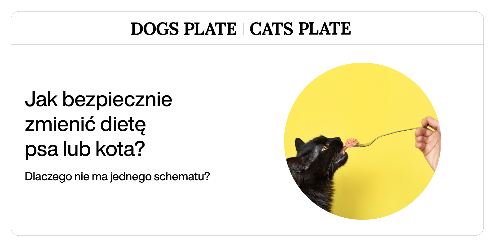 Jak bezpiecznie zmienić dietę psa lub kota?