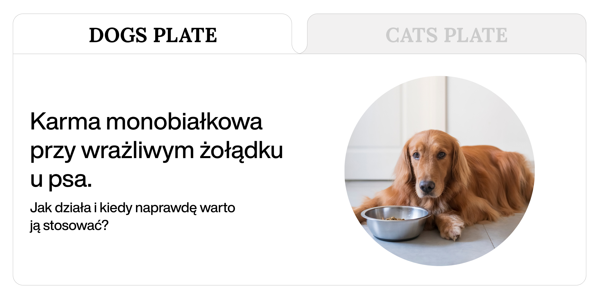 Karma monobiałkowa przy wrażliwym żołądku u psa. Jak działa i kiedy naprawdę warto ją stosować?