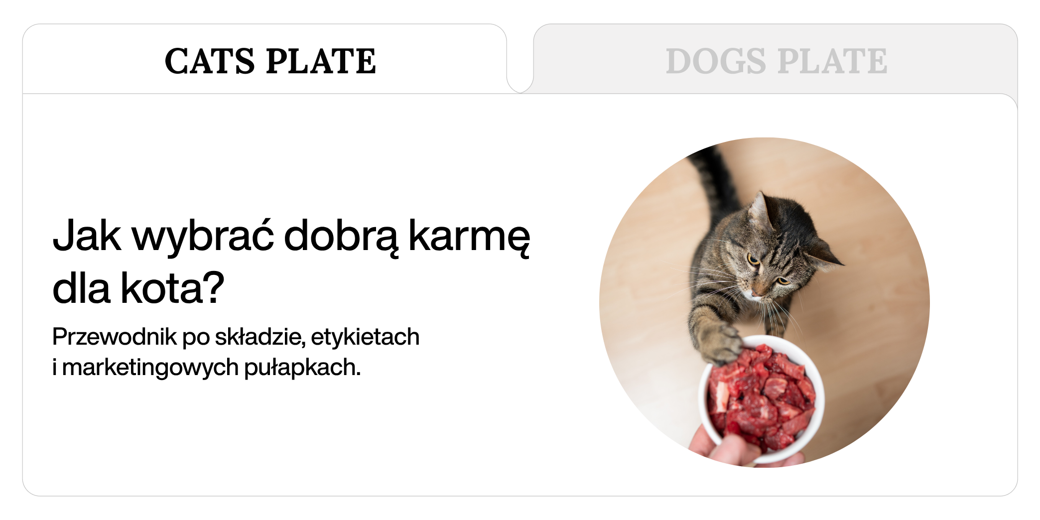 Jak wybrać dobrą karmę dla kota? Przewodnik po składzie, etykietach i marketingowych pułapkach