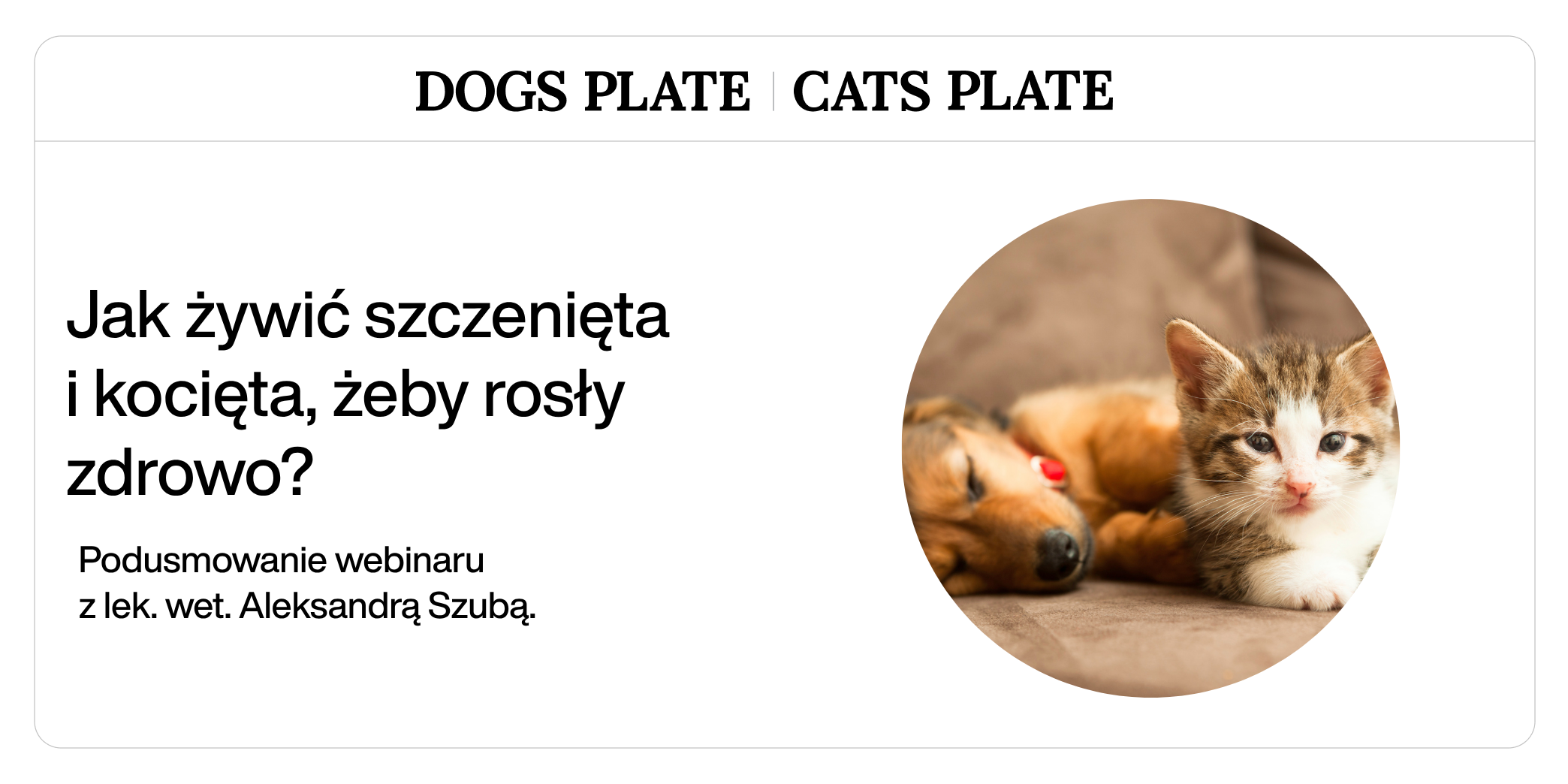 Jak żywić szczenięta i kocięta, żeby rosły zdrowo?