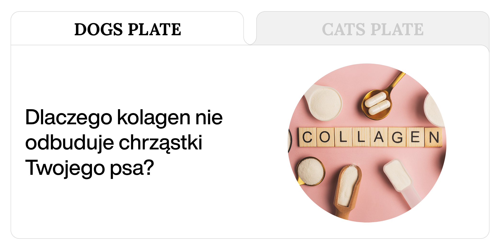 Dlaczego kolagen nie odbuduje chrząstki Twojego psa?