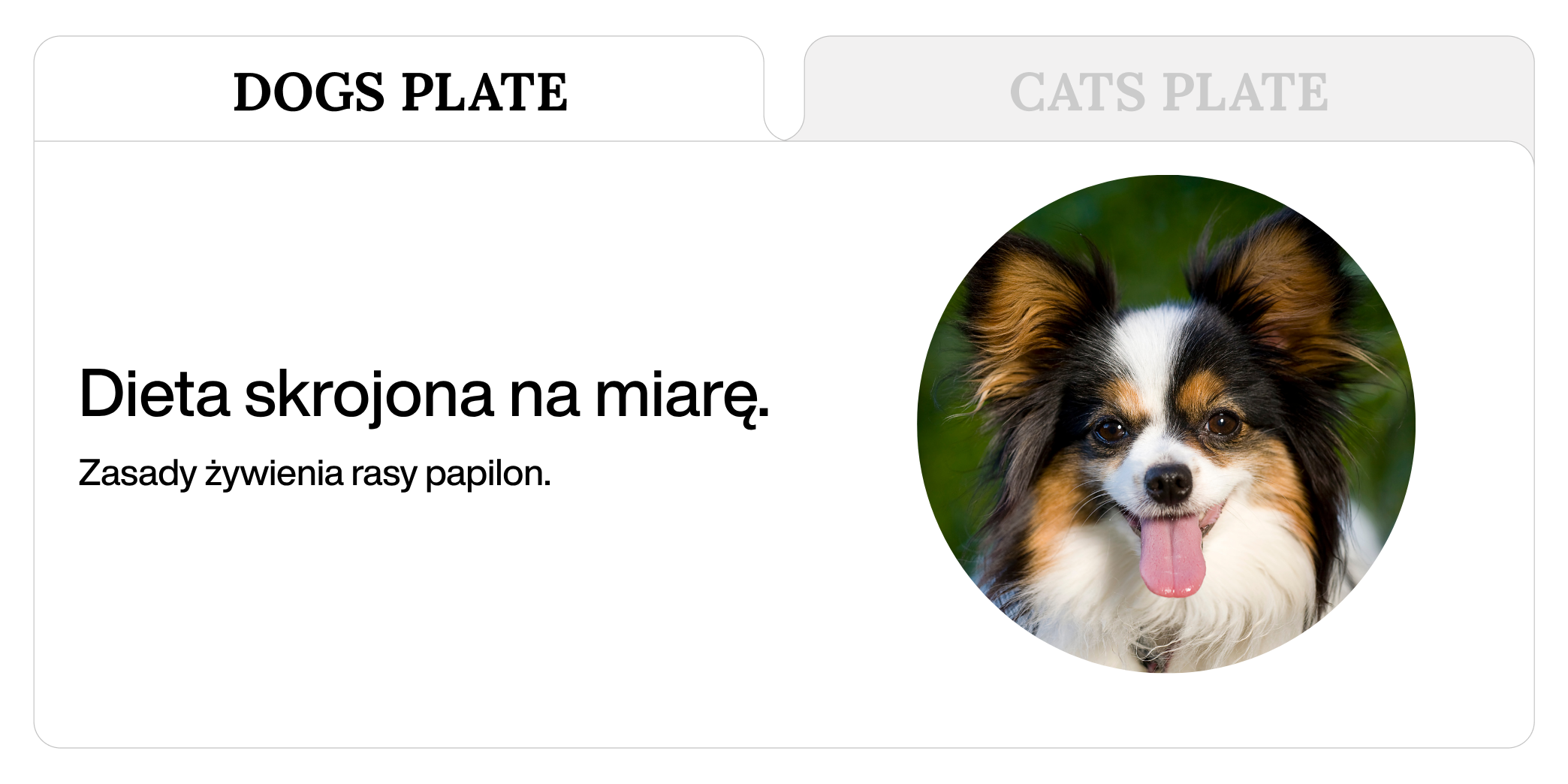 Dieta rasy papilon.