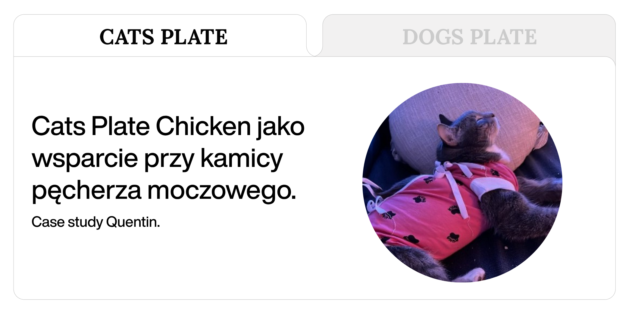 Case study: Cats Plate Chicken jako wsparcie przy kamicy pęcherza moczowego - historia Quentina.