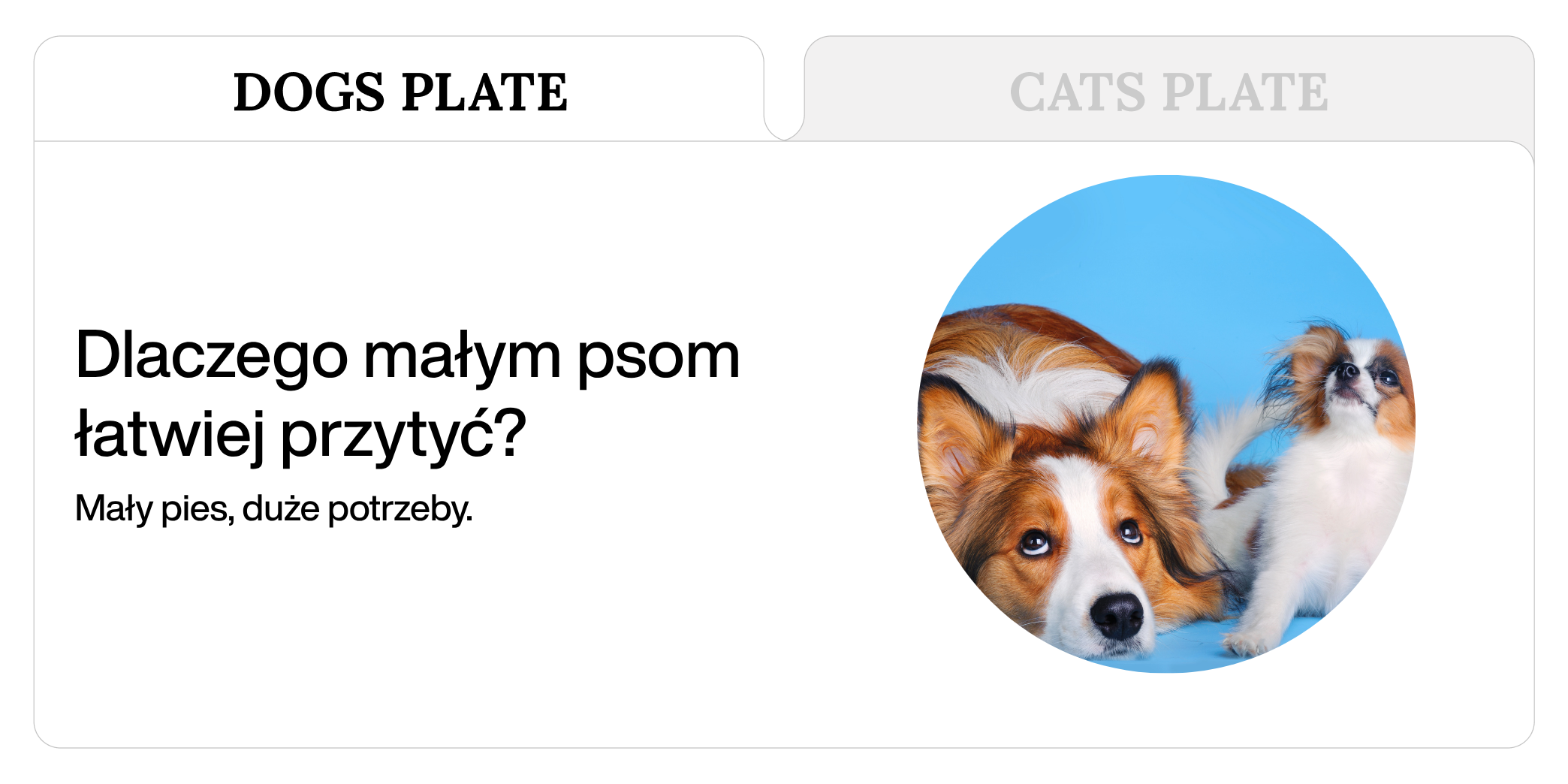 Dlaczego małym psom łatwiej przytyć?