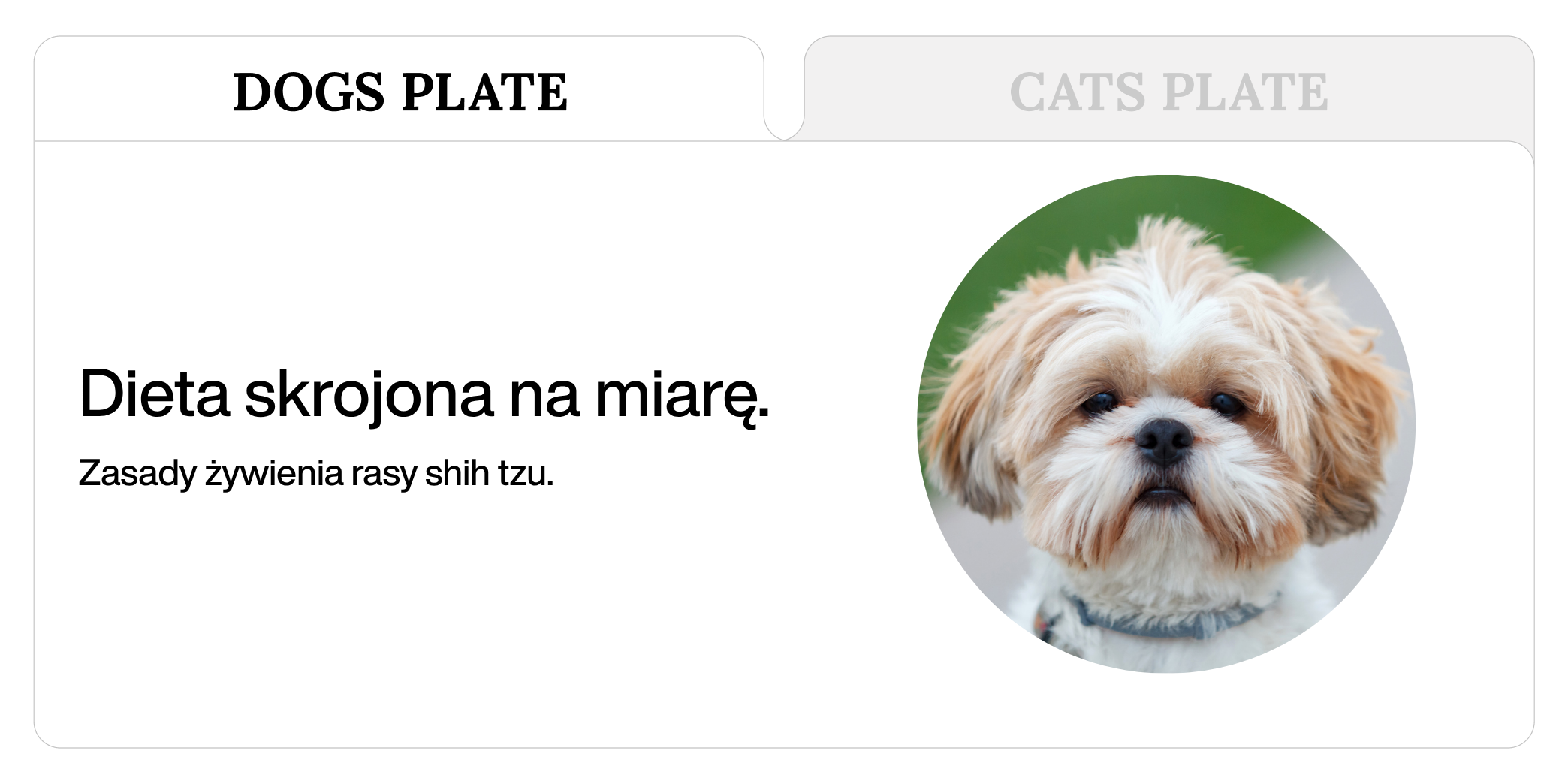 Dieta shih tzu.