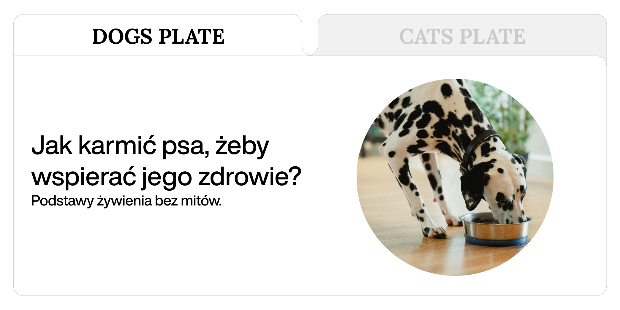 Jak karmić psa, żeby wspierać jego zdrowie? Podstawy żywienia bez mitów.