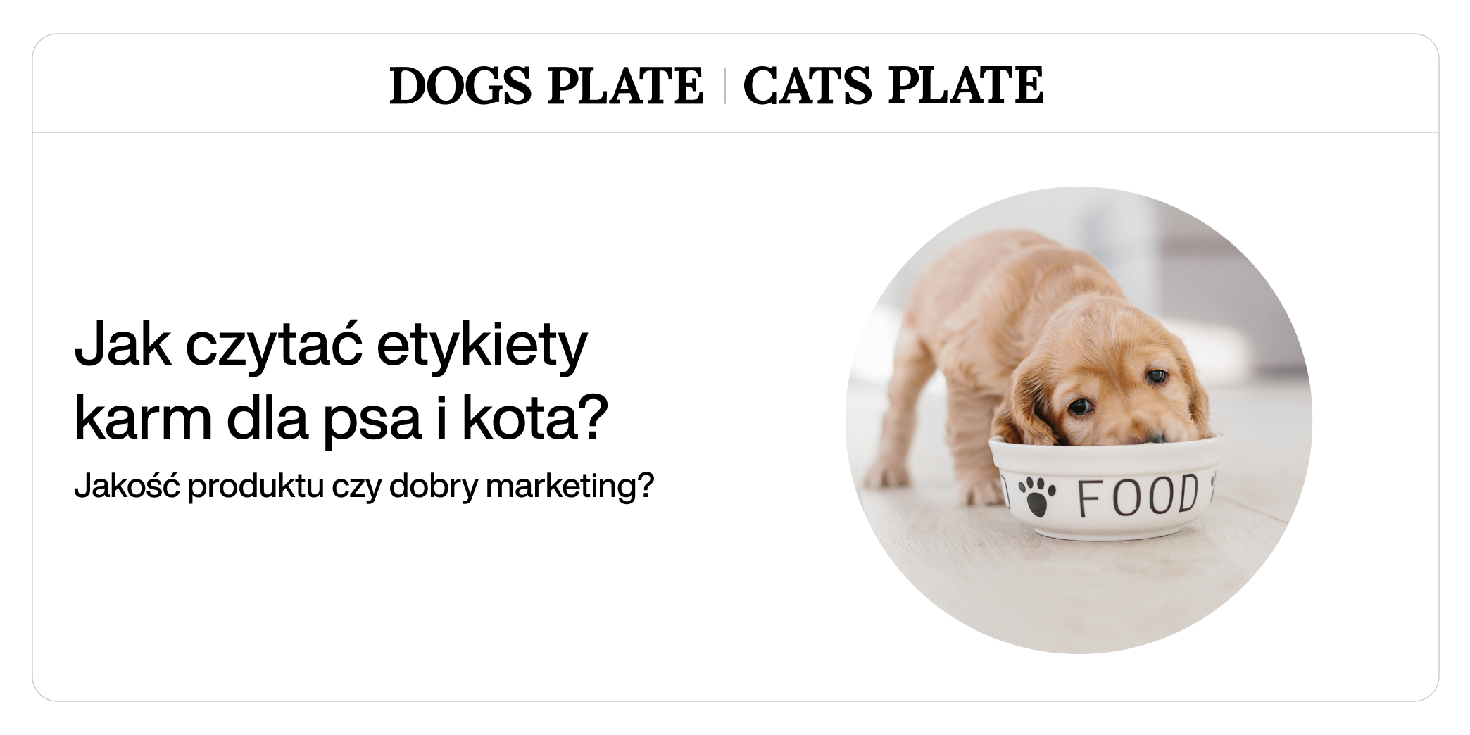 Jak czytać etykiety karm dla psa i kota? Jakość produktu czy dobry marketing?