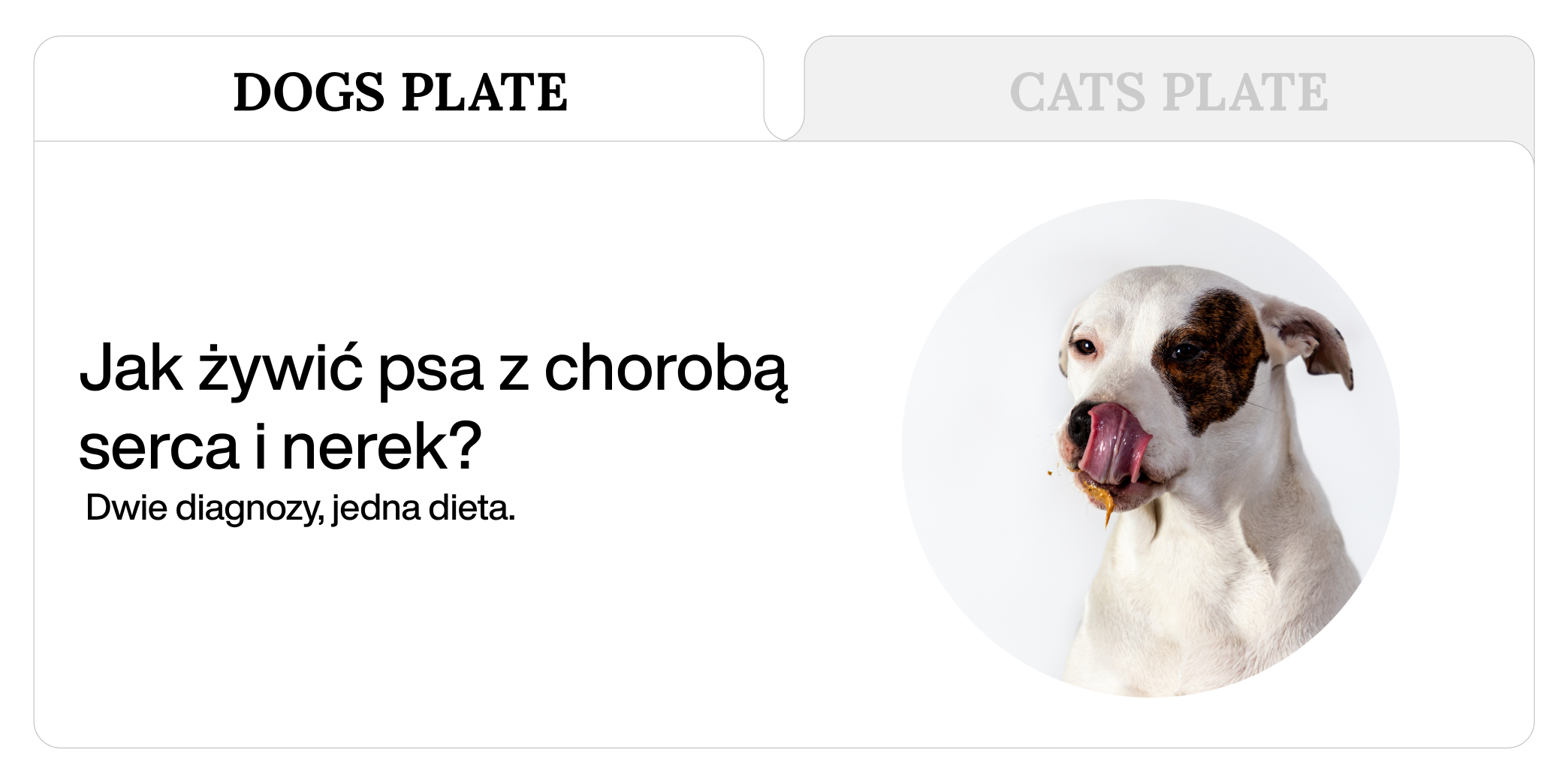 Jak żywić psa z chorobą serca i nerek? Dwie diagnozy, jedna dieta.