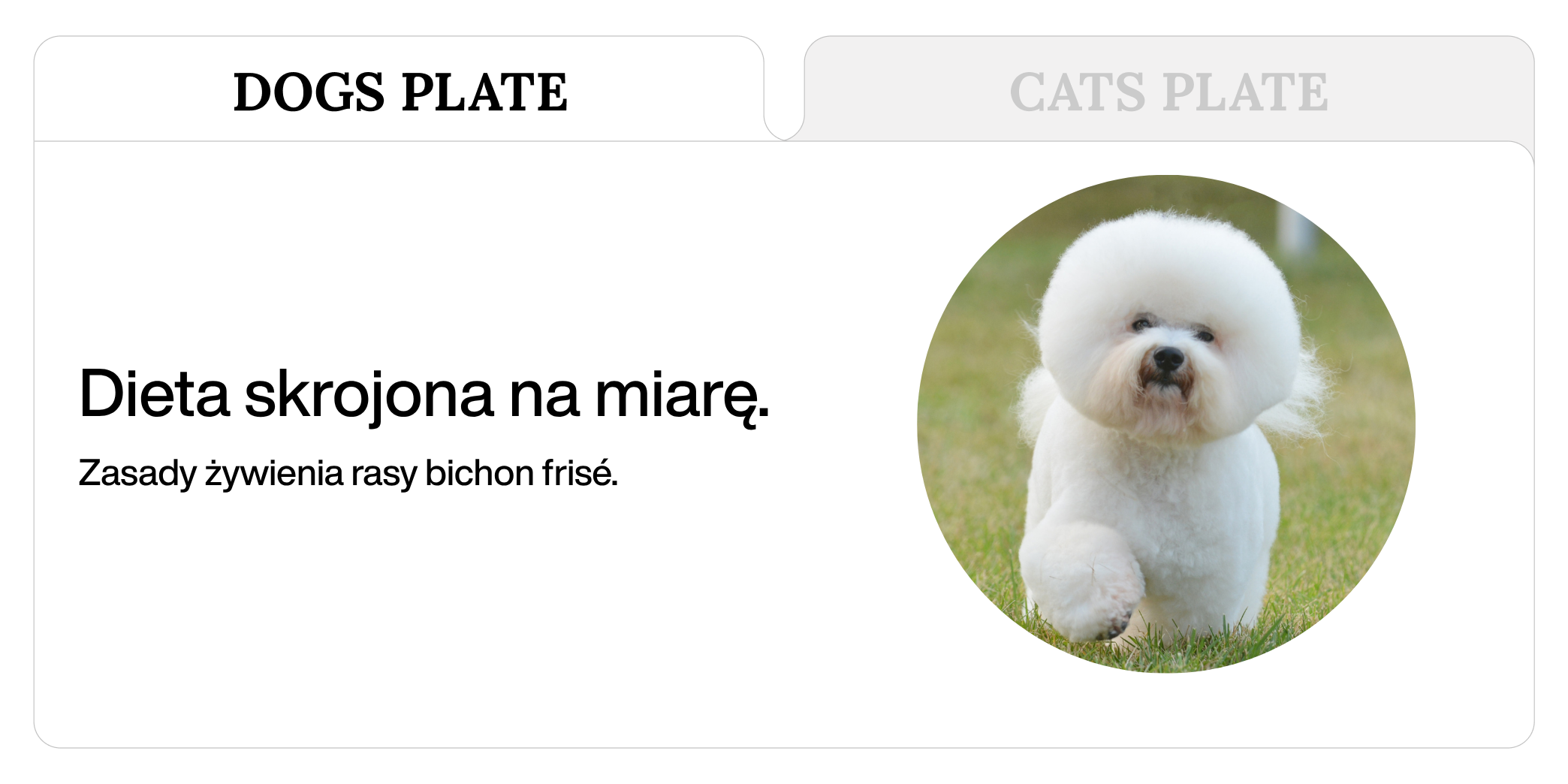 Dieta rasy bichon frise
