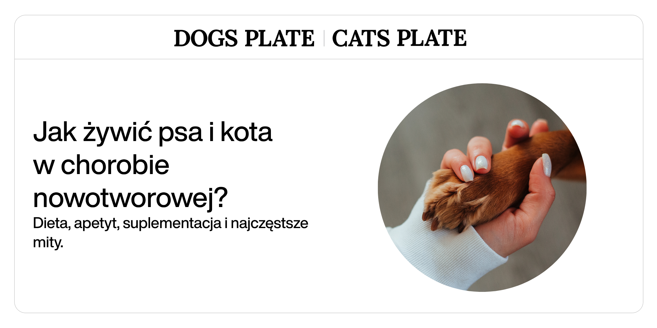 Jak żywić psa i kota w chorobie nowotworowej? Dieta, apetyt, suplementacja i najczęstsze mity